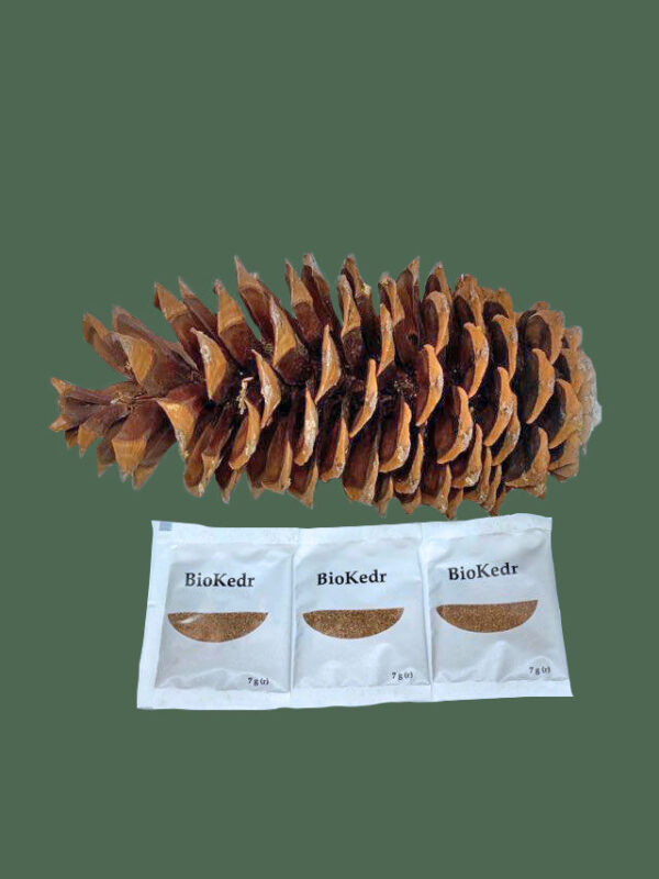 Biocedar sachet  7g
